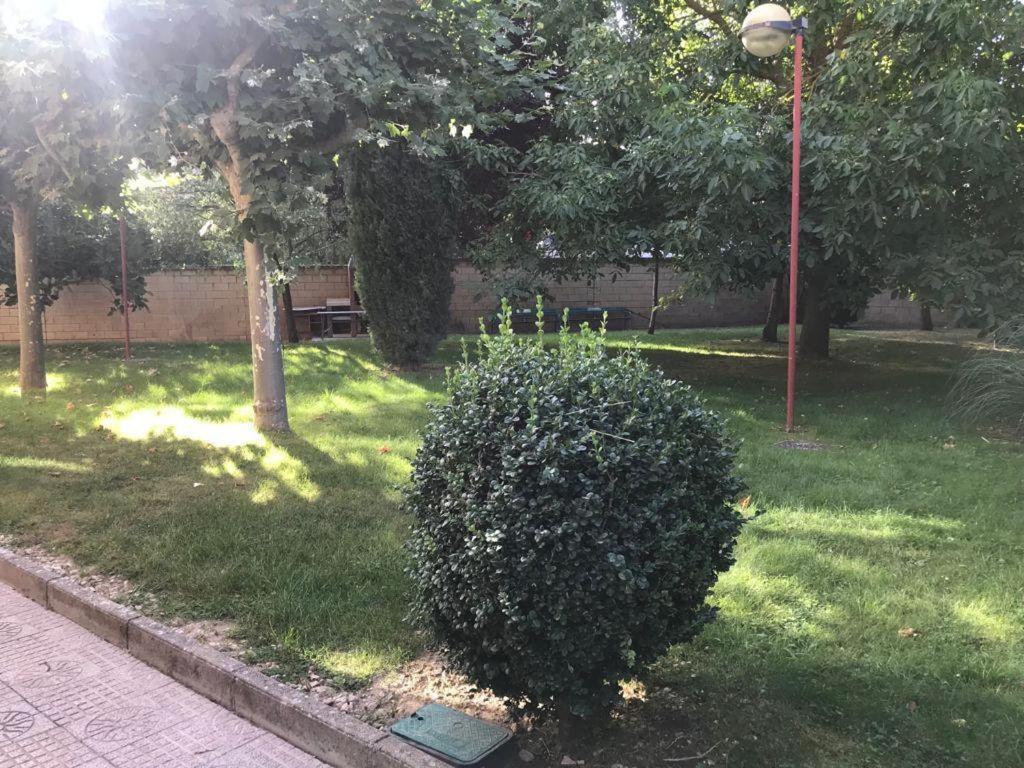 Хостел Residencia Hospital Del Rey Бургос Экстерьер фото